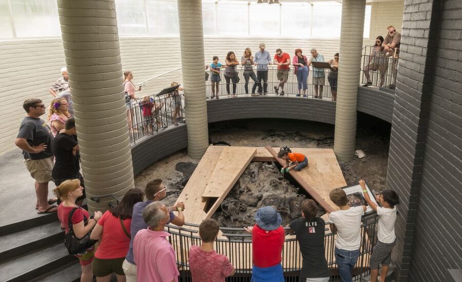 Los Angeles: La Brea Tar Pits Museum Ticket - Pit 91 Access: Watch Fossils Come Up From the Ground