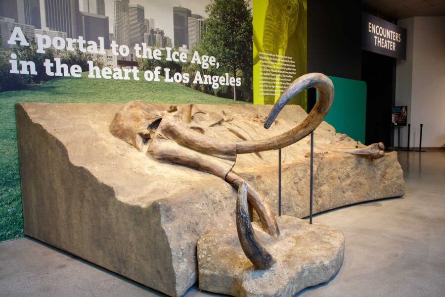 Los Angeles: La Brea Tar Pits Museum Ticket - Outside Meets Inside: The Pleistocene Gardens for Context