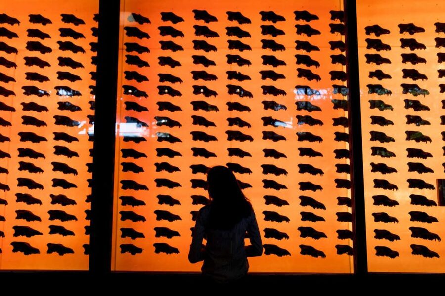 Los Angeles: La Brea Tar Pits Museum Ticket - Fossil Lab: Seeing Scientists Clean Fossils in Real Time