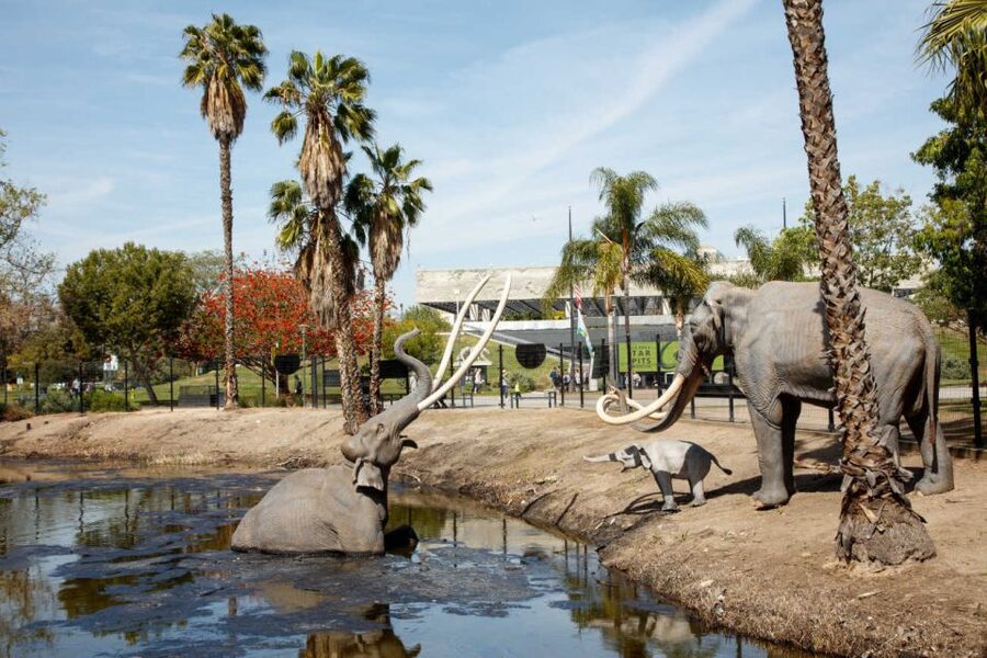 Los Angeles: La Brea Tar Pits Museum Ticket - Tickets, Price, and What You Truly Get for $18