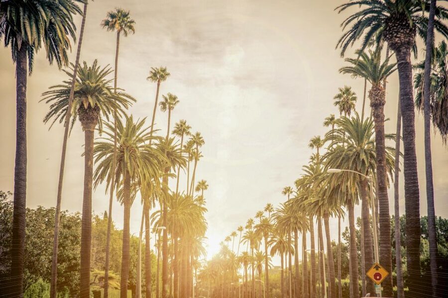 Los Angeles: LA in a Day Guided Electric Bike Tour - Marina Del Rey Views And Ballona Creek: Coast To Quiet Nature Feeling