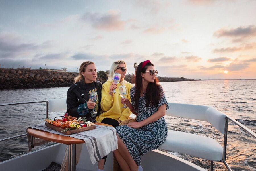 Los Angeles: Luxury Cruise with Wine, Cheese & Sea Lions - Sea lions and birds: how wildlife spotting really works here