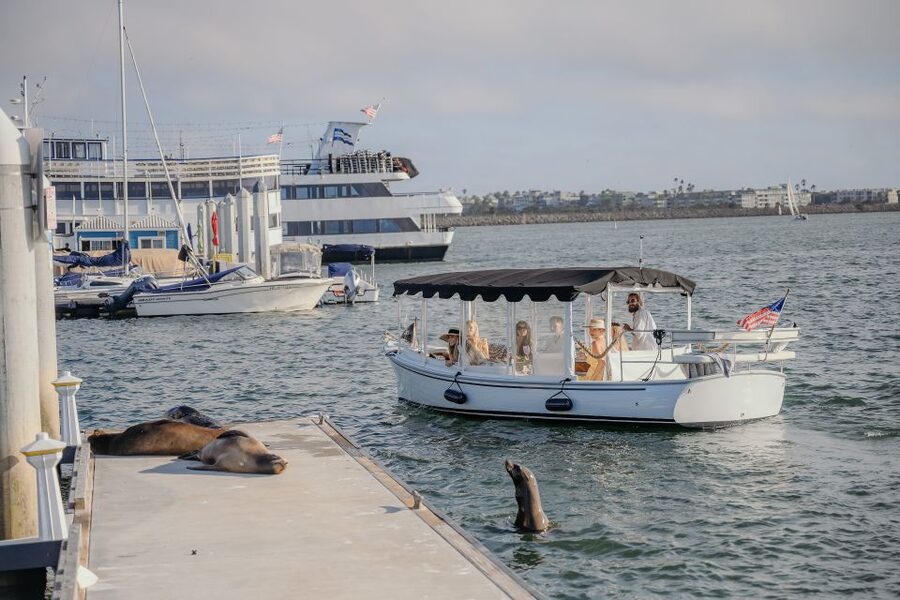Los Angeles: Luxury Cruise with Wine, Cheese & Sea Lions - Price and value: what $119 buys you in real terms