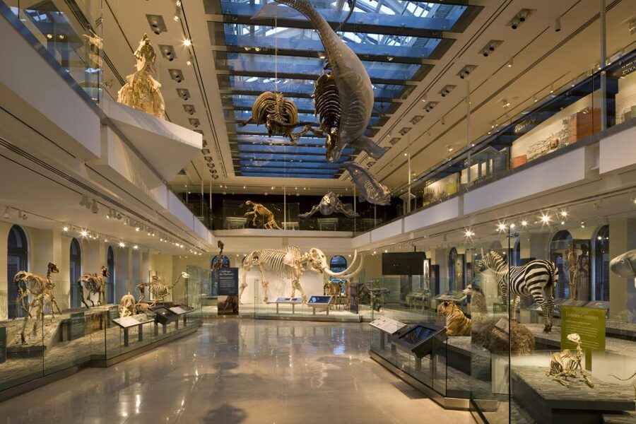 Los Angeles: Natural History Museum of LA Entry Ticket - Timing and Pacing: How I’d Build a Day Route
