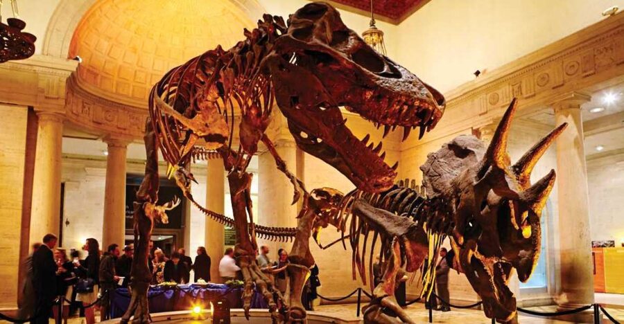 Los Angeles: Natural History Museum of LA Entry Ticket - One-Day Reality Check: How to Fit the Museum Into a Schedule