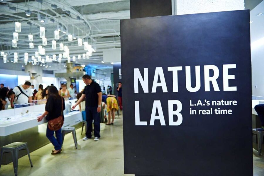 Los Angeles: Natural History Museum of LA Entry Ticket - Nature Gardens and Nature Lab: A 3.5-Acre Walk You’ll Actually Enjoy