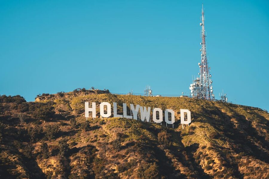 Los Angeles: private sightseeing tour - Venice Beach, Venice Canals, and Chinatown in the afternoon mix