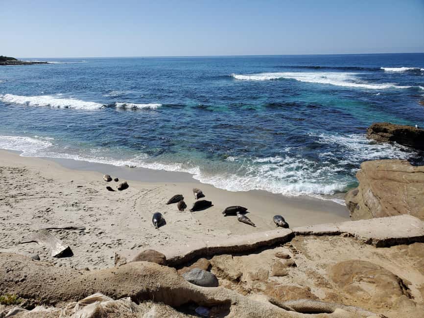 Los Angeles: private tour to San Diego - Why the guide matters, Yulia’s flexibility and care