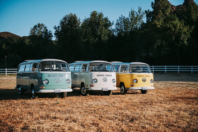 Los Angeles: Private Vintage VW Bus Tour in Malibu - Native Wildlife Moments You Can Actually Enjoy