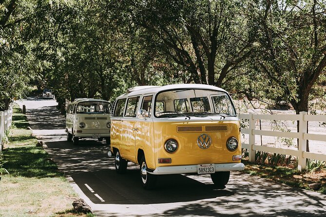 Los Angeles: Private Vintage VW Bus Tour in Malibu - Getting There, What to Wear, and Day-of Tips