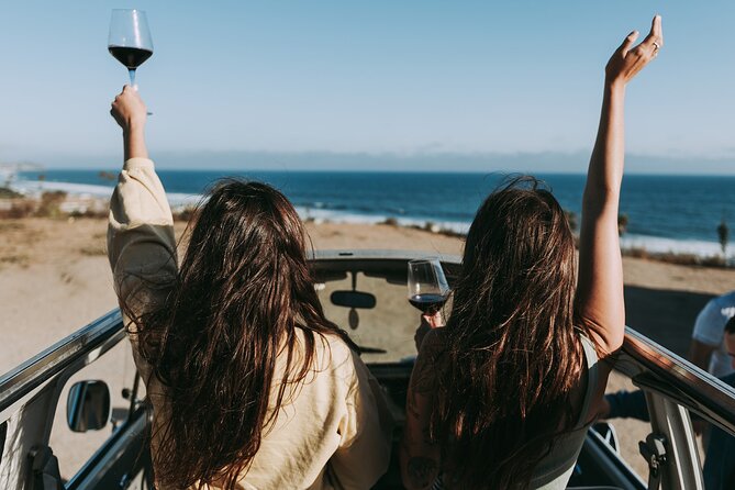 Los Angeles: Private Vintage VW Bus Tour in Malibu - Your 3-Hour Route: Vineyards, Overlooks, and Canyon Cruising