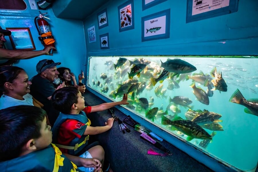 Los Angeles: Redondo Beach Glass Bottom Boat Cruise - Key things to know before you board