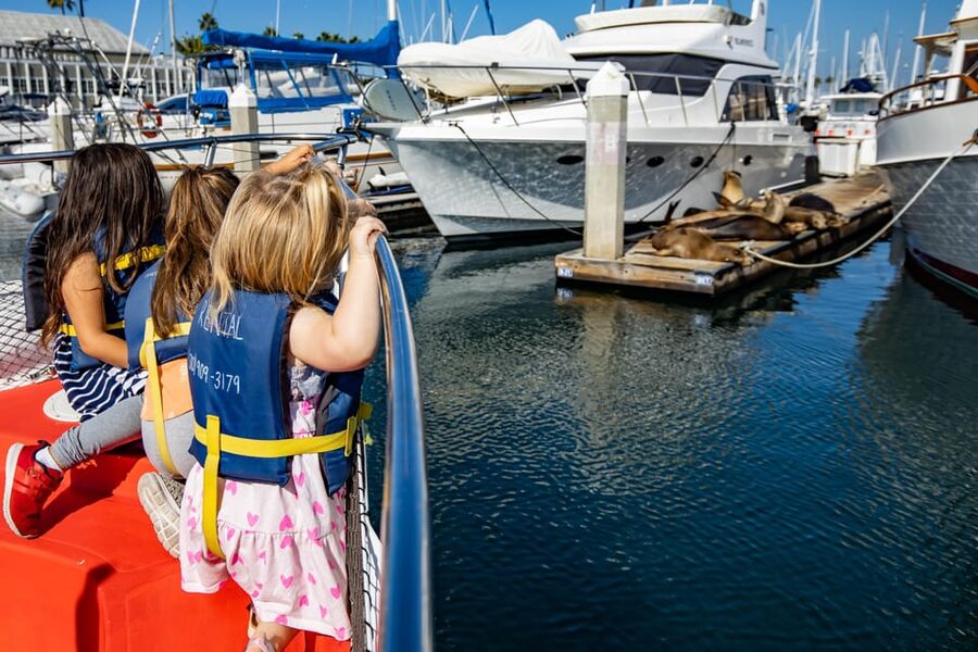 Los Angeles: Redondo Beach Glass Bottom Boat Cruise - Meeting at 181 N Harbor Dr: the Boardwalk Is the Clue