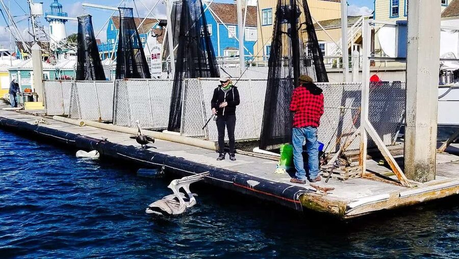 Los Angeles: Sunset Sailing - What you can expect to do with sails, steering, and photos