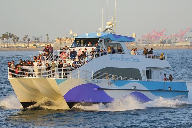 Los Angeles Whale and Dolphin Watching Cruise from West Harbor - Motion Sickness and Weather: Small Planning Tips That Save Big Headaches