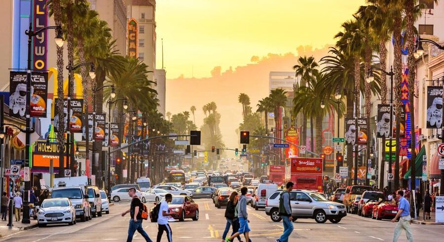 Los Angles: Private Customized Day Tour with Driver - Shopping time works best when you pre-decide what matters
