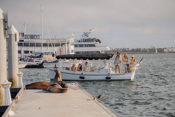Luxury Shared E-Boat Cruise with Wine, Charcuterie & Sea Lions Spotting - Meeting Point and On-Board Expectations (What to Plan For)