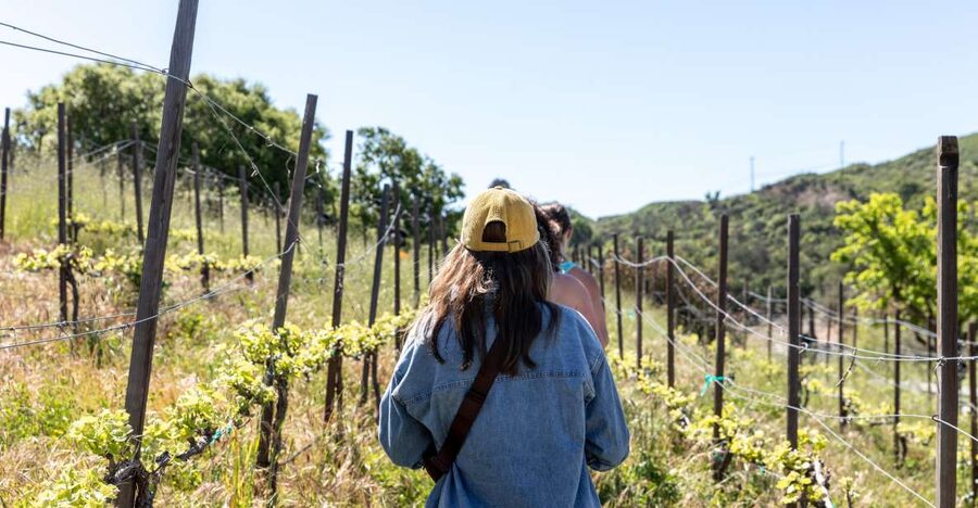 Malibu: Guided Vineyard Hike with Photo Stops and Wine - Key things to know before you go