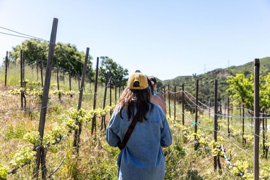 Malibu: Guided Vineyard Hike with Photo Stops and Wine - Starting at 32111 Mulholland Hwy and getting oriented fast
