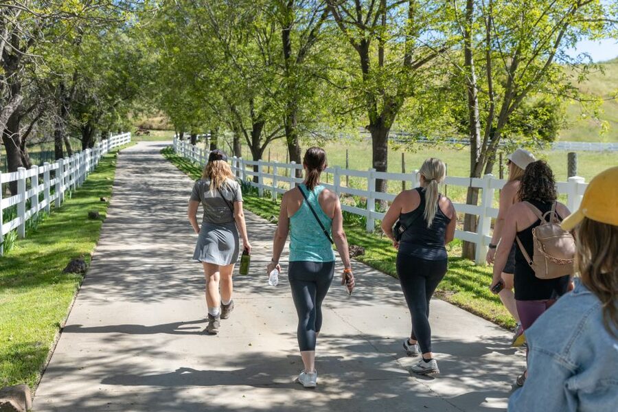 Malibu: Guided Vineyard Hike with Photo Stops and Wine - Vineyards and family-winery stories on the move