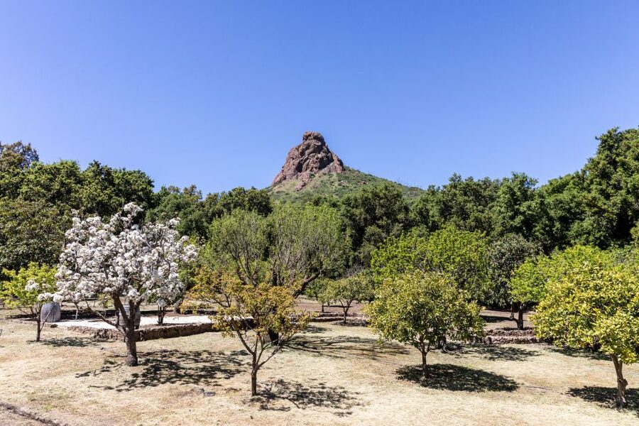 Malibu: Guided Vineyard Hike with Photo Stops and Wine - Price and value: what $49 buys in Malibu terms