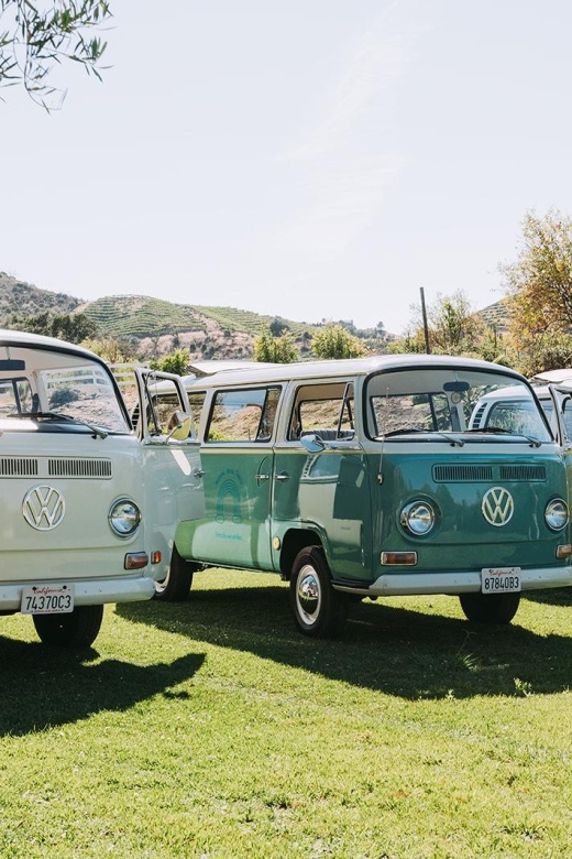Malibu: Vintage VW Bus and Vineyard Tour - Age and pet rules you should know before you go