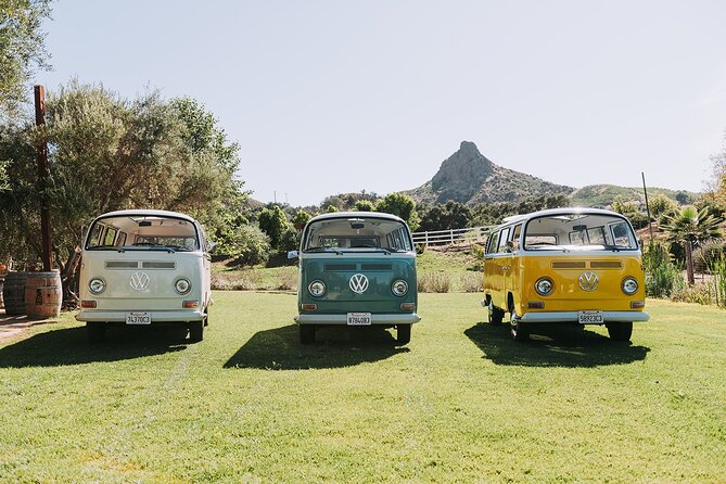 Malibu: Vintage VW Bus and Vineyard Tour - Should You Book the Malibu Vintage VW Bus and Vineyard Tour?