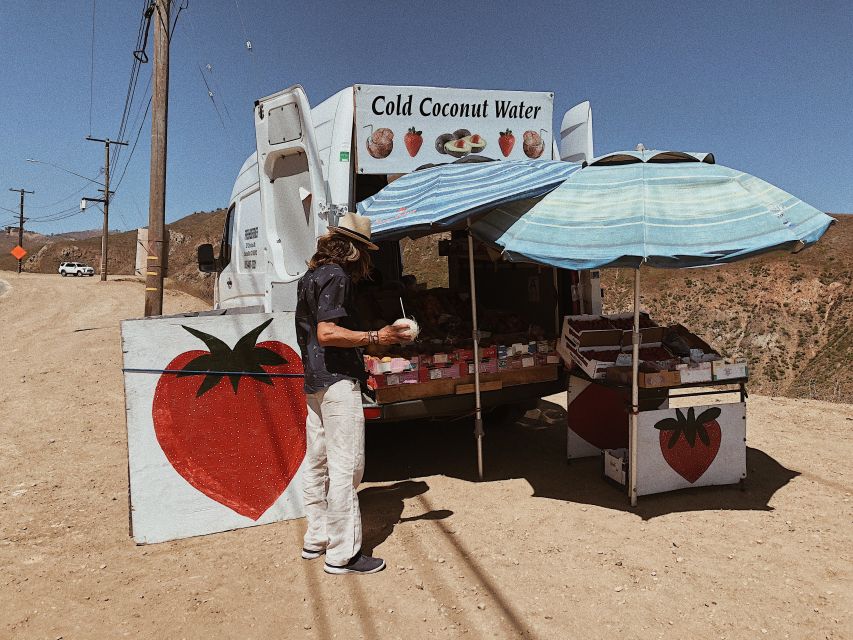 Malibu: Vintage VW Sightseeing Tour and Wine Tasting - The Viewpoints and Photo Stops: The Van Plus the Coast Combo