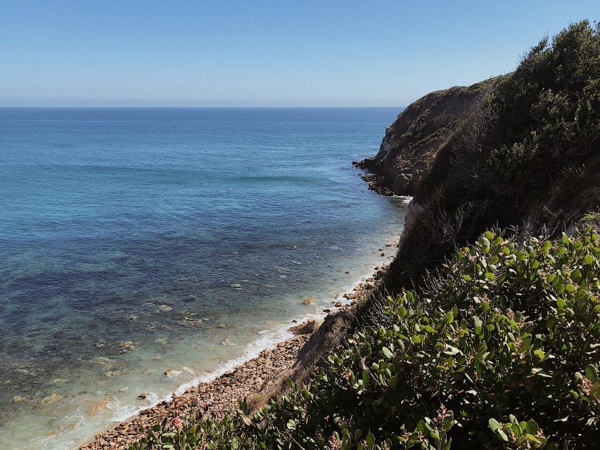 Malibu: Vintage VW Sightseeing Tour and Wine Tasting - Price and Value: Is $195 Worth It for Four Hours?