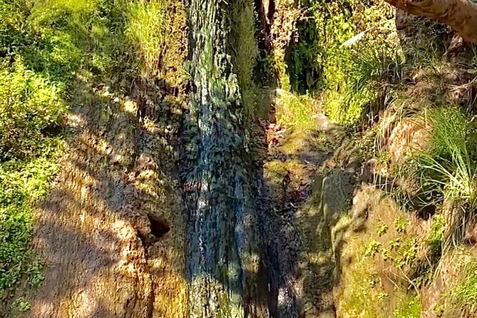 Malibu Waterfall eMTB & Hiking Adventure (Beginner) - Price and Value: What $169 Buys in the Real World