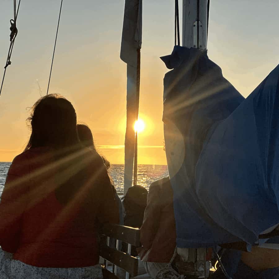 Marina del Rey: 1-Hour Boat Tour - Marina del Rey sights you can spot fast (yachts, houseboats, and people on boards)