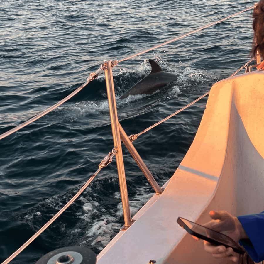 Marina del Rey: 1-Hour Boat Tour - Bring your own snacks: the small choice that makes the hour easier