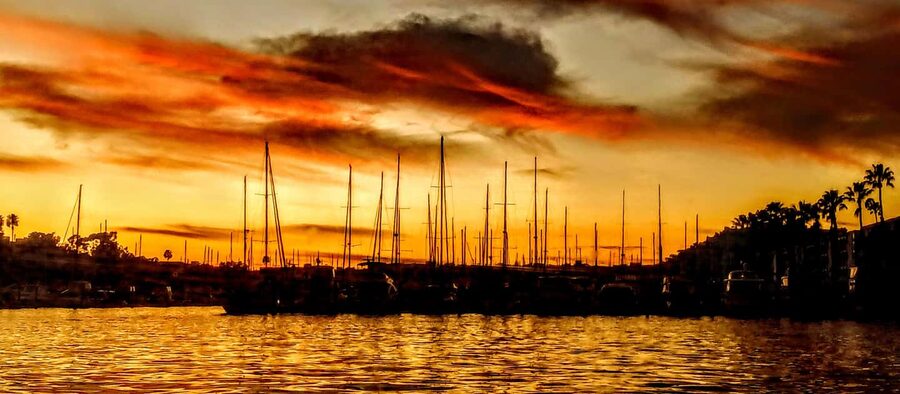 Marina Del Rey: Romantic Cruise, Dinner Charcuterie or Sushi - Wildlife spotting in Marina del Rey, sea lions and possible dolphins
