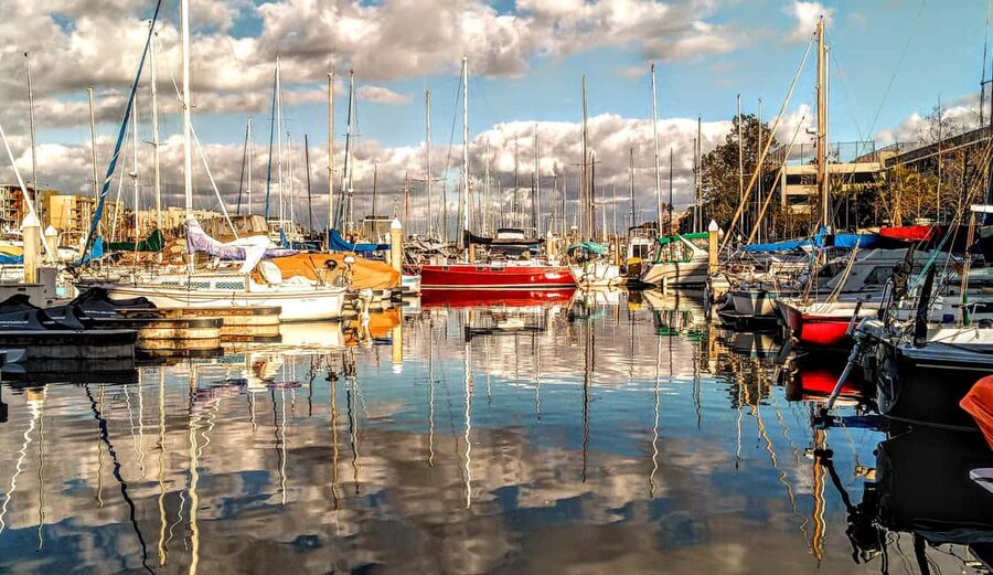 Marina del Rey: Wine Cruise &Music+optional Sushi or Dinner - Gliding past Marina del Rey’s waterfront glow, without the noise