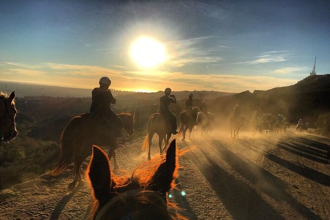 Mulholland Trail Horseback Tour - Guides and Horses: Beginner Friendly, Not a Pony Show