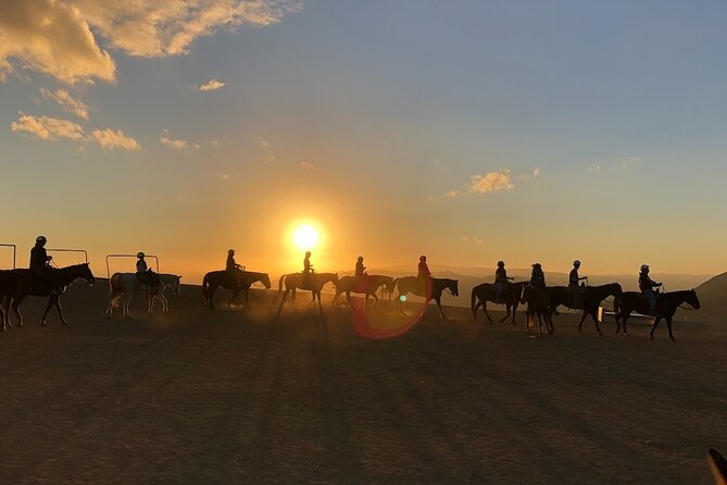 Mulholland Trail Horseback Tour - Who This Tour Suits Best, and Who Should Think Twice