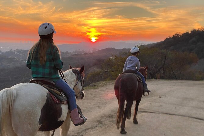 Mulholland Trail Horseback Tour - Starting at 3204 Beachwood Dr, and What Happens Before You Mount