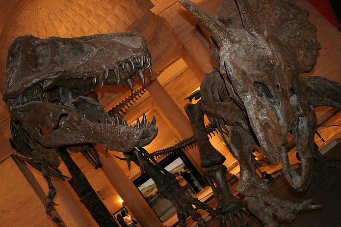Natural History Museum of Los Angeles County Admission - Key highlights worth circling