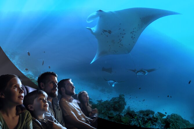 Ocean Wonders: An Immersive Ocean Movie Experience - Key highlights to look for