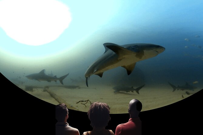 Ocean Wonders: An Immersive Ocean Movie Experience - Stop 1: IMMERSED at Catalina, and what happens once the film starts