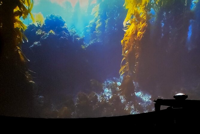 Ocean Wonders: An Immersive Ocean Movie Experience - The staff experience: friendly, welcoming, and quick to help