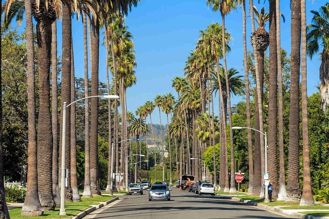 Private 4-Hour Limo Tour of LA by a TV Personality with Drinks - Hollywood Walk of Fame and Chinese Theater stop