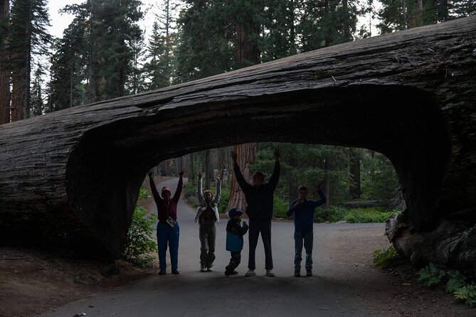 Private Day Tour to Sequoia and Kings Canyon Parks From LA - A long LA day, built around three sequoia icons