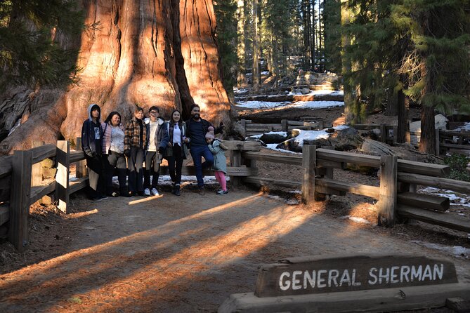 Private Day Tour to Sequoia and Kings Canyon Parks From LA - Tunnel Log drive-through: quick, odd, and unforgettable