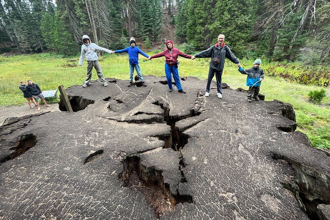 Private Day Tour to Sequoia and Kings Canyon Parks From LA - Price and logistics: private comfort, timed stops