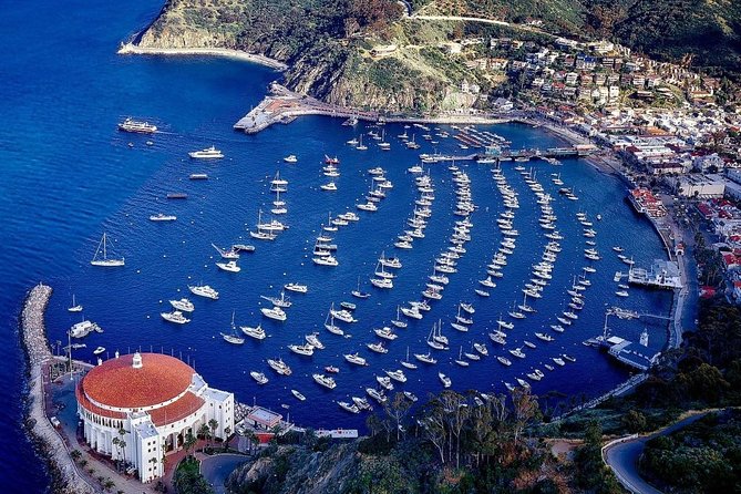 Private Guided Golf Cart Tour of Avalon - 2 Hours of Avalon in a Fast, Private Golf Cart