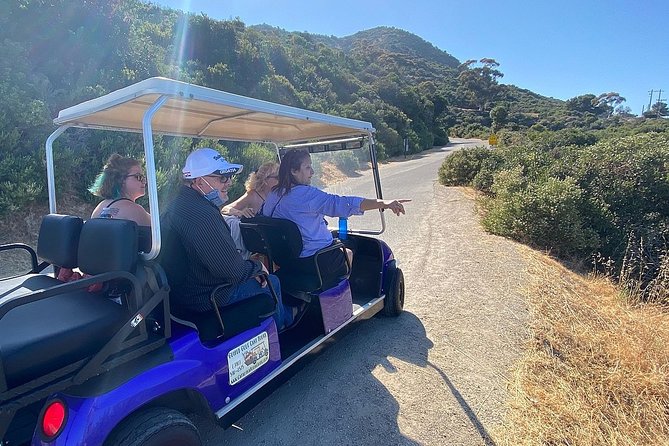 Private Guided Golf Cart Tour of Avalon - The Casino Building, Fish Feeding, and the Marine Preserve Area