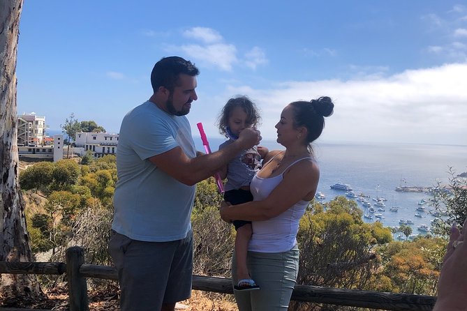 Private Guided Golf Cart Tour of Avalon - Comfort and Real-World Details That Matter on Catalina