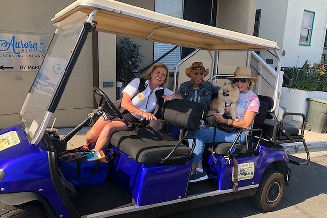 Private Guided Golf Cart Tour of Avalon - Stop-by-Stop: From Pebbly Beach to the Casino and Beyond
