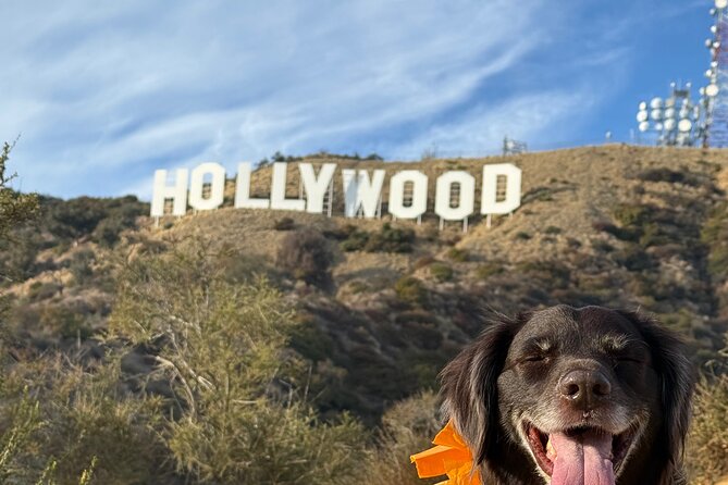 Private Hollywood Sign Hiking Tour with Select Hotel Pickup - Stop 1 at the Hollywood Sign: the iconic part first